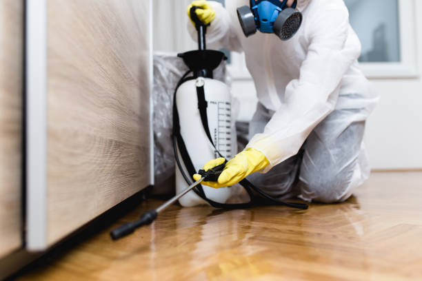 Best Residential Pest Control  in Land O Lakes, FL