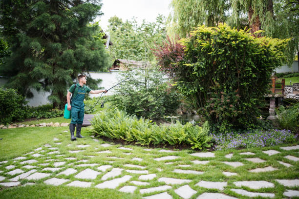 Best Wasp Removal Services  in Land O Lakes, FL