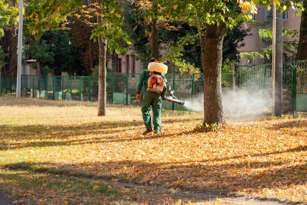 Best Spider Control Near Me  in Land O Lakes, FL