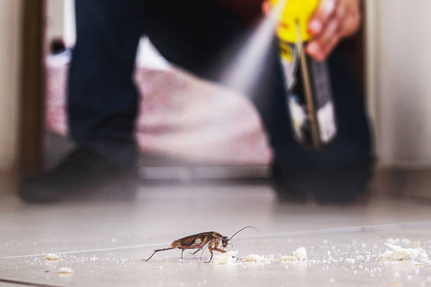Best Best Pest Control Companies  in Land O Lakes, FL