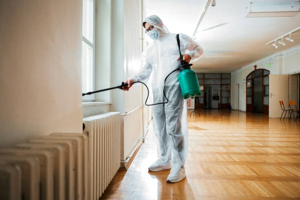 Best Mosquito Control Services  in Land O Lakes, FL
